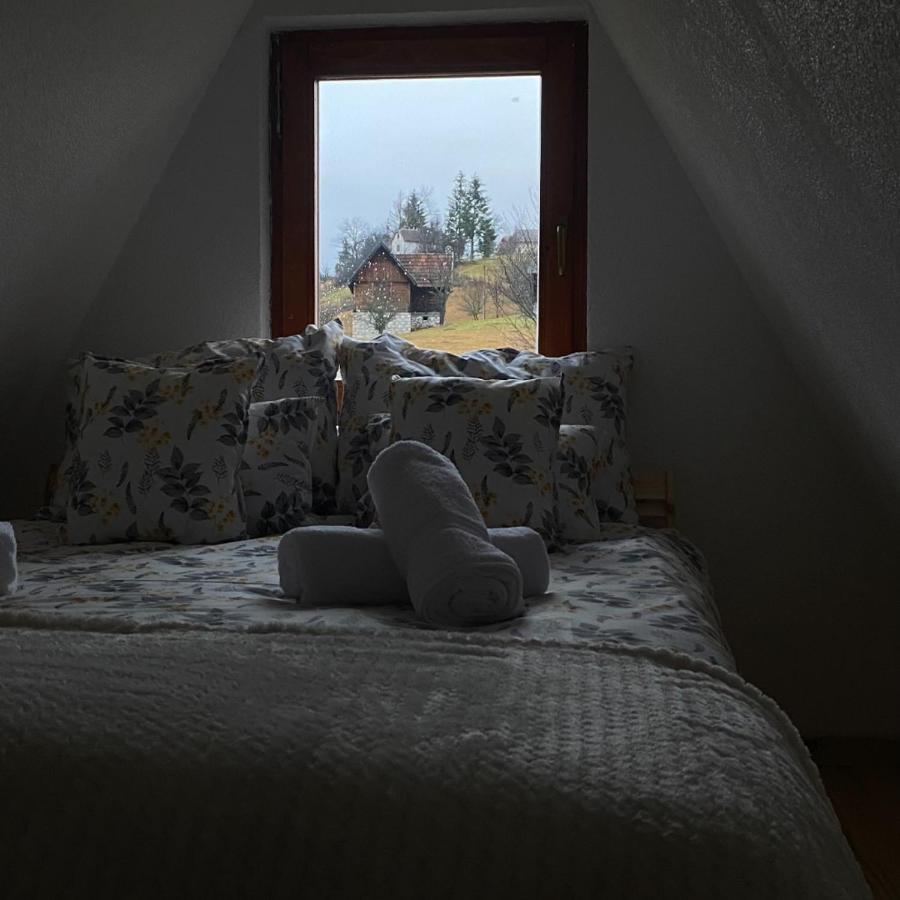 The Tara Concept Villa Sljivovica  Luaran gambar