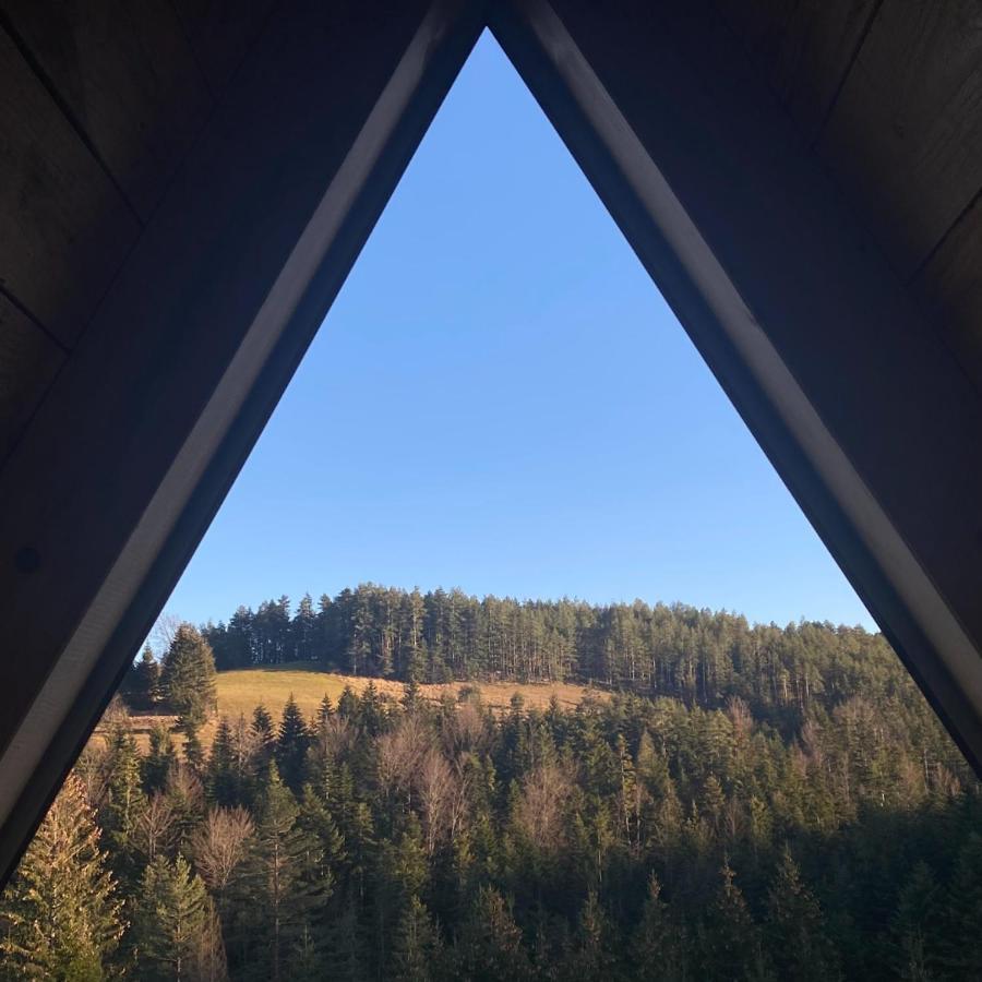 The Tara Concept Villa Sljivovica  Luaran gambar